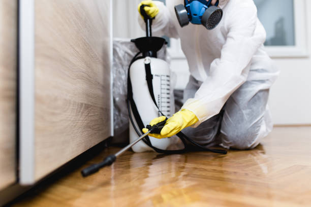 Best Bed Bug Extermination  in Loxley, AL
