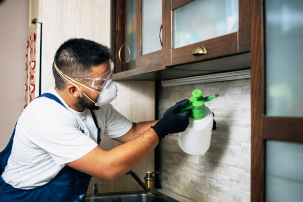 Best Flea Control Services  in Loxley, AL