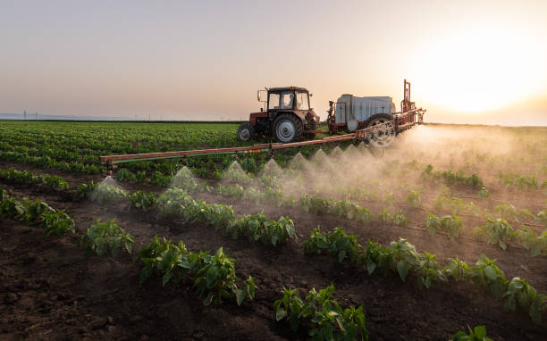 Best Mosquito Control Services  in Loxley, AL