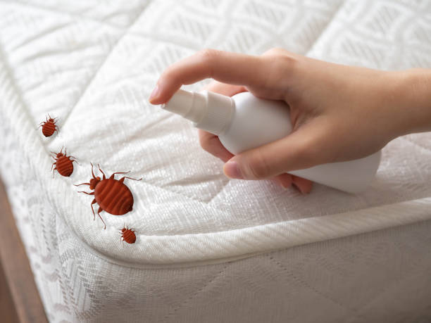 Best Wasp Removal Services  in Loxley, AL