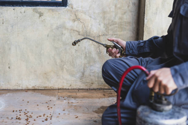 Best Emergency Pest Control  in Loxley, AL