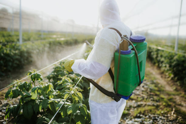 Wildlife Control Services in Loxley, AL